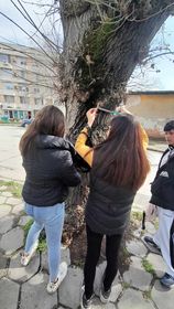 Изображение 2