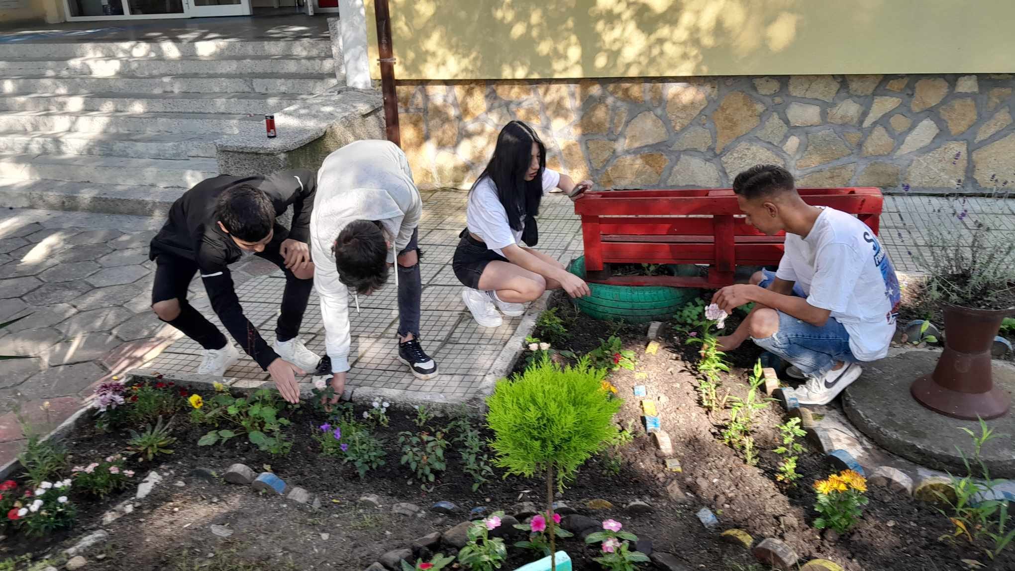 Изображение 6