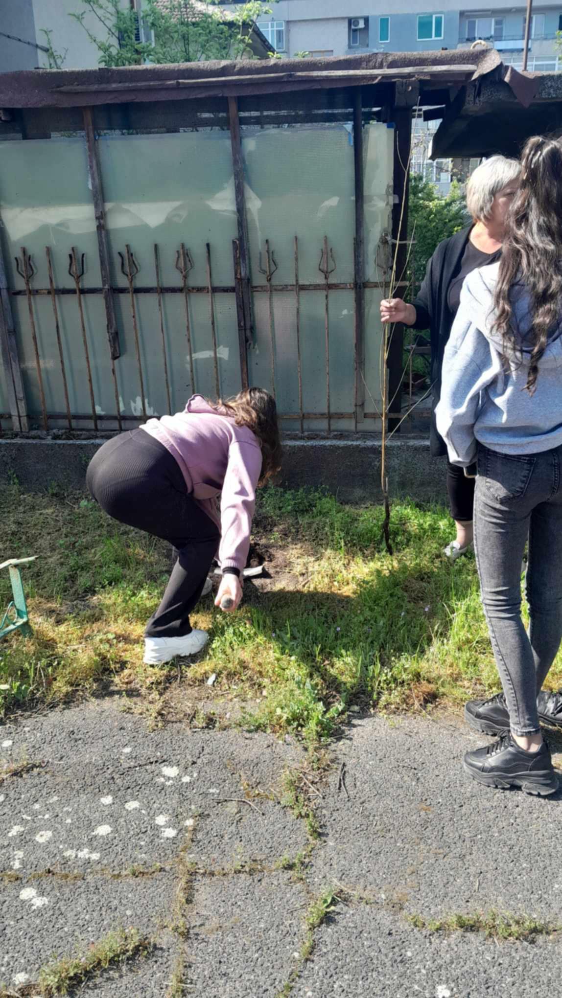 Изображение 4