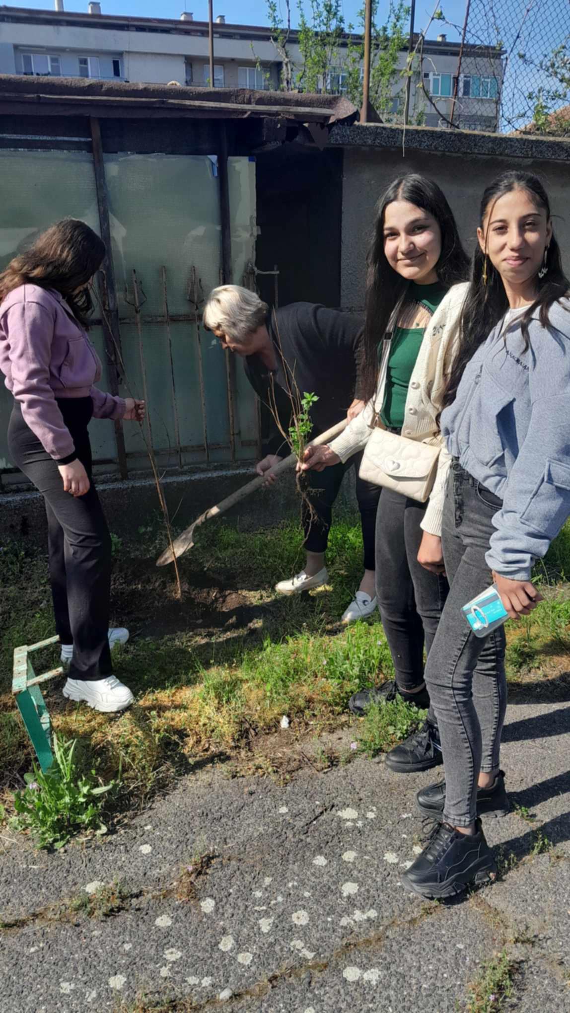 Изображение 5