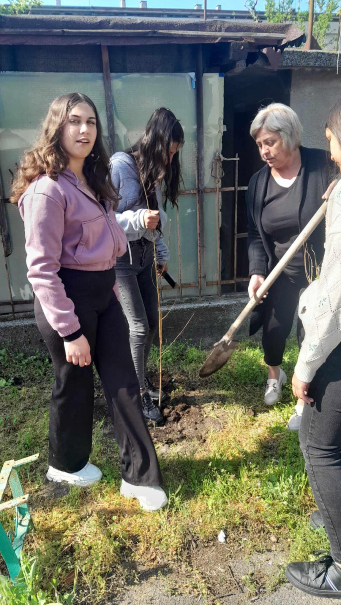 Изображение 6