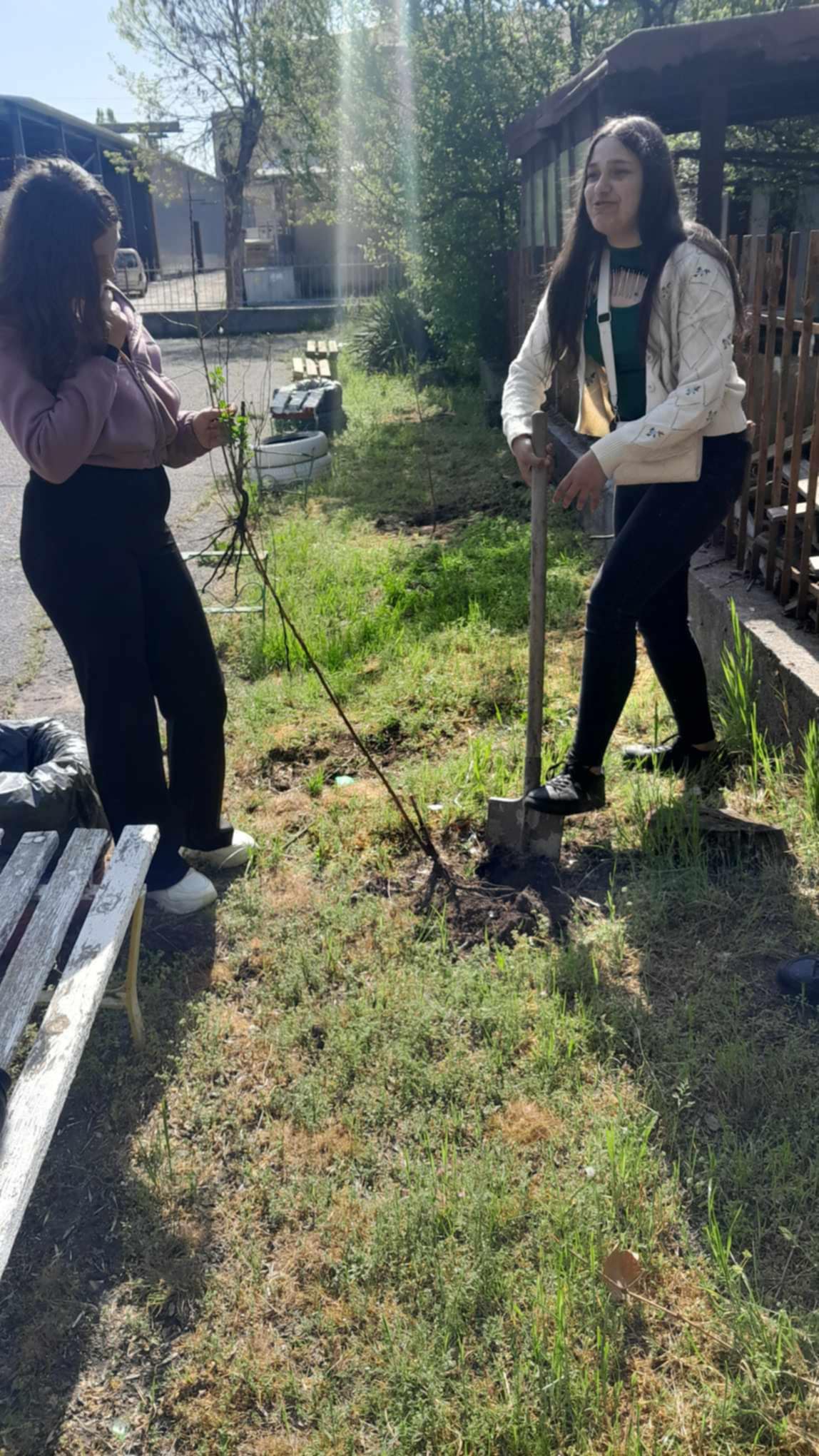 Изображение 8