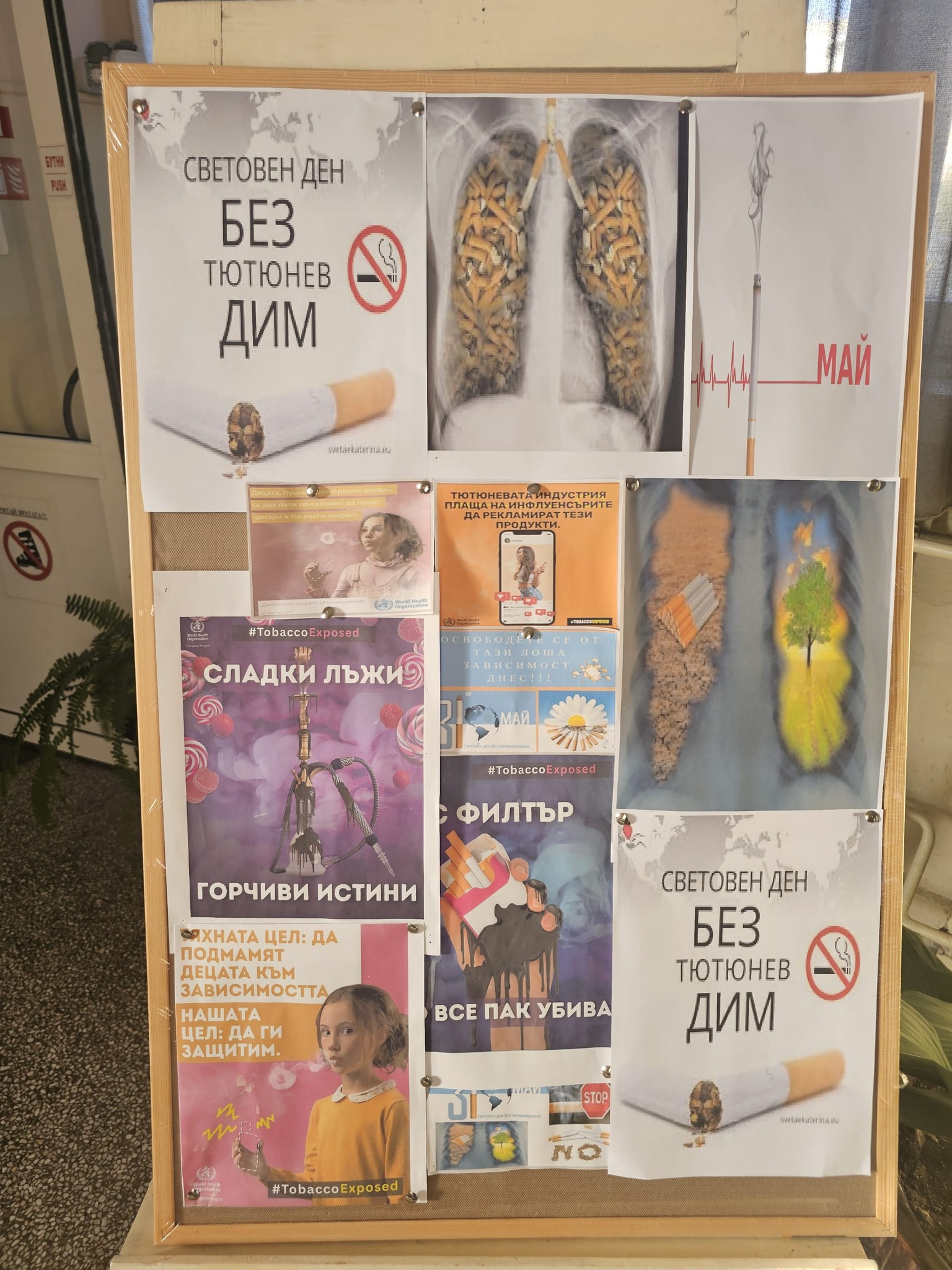 Изображение 2