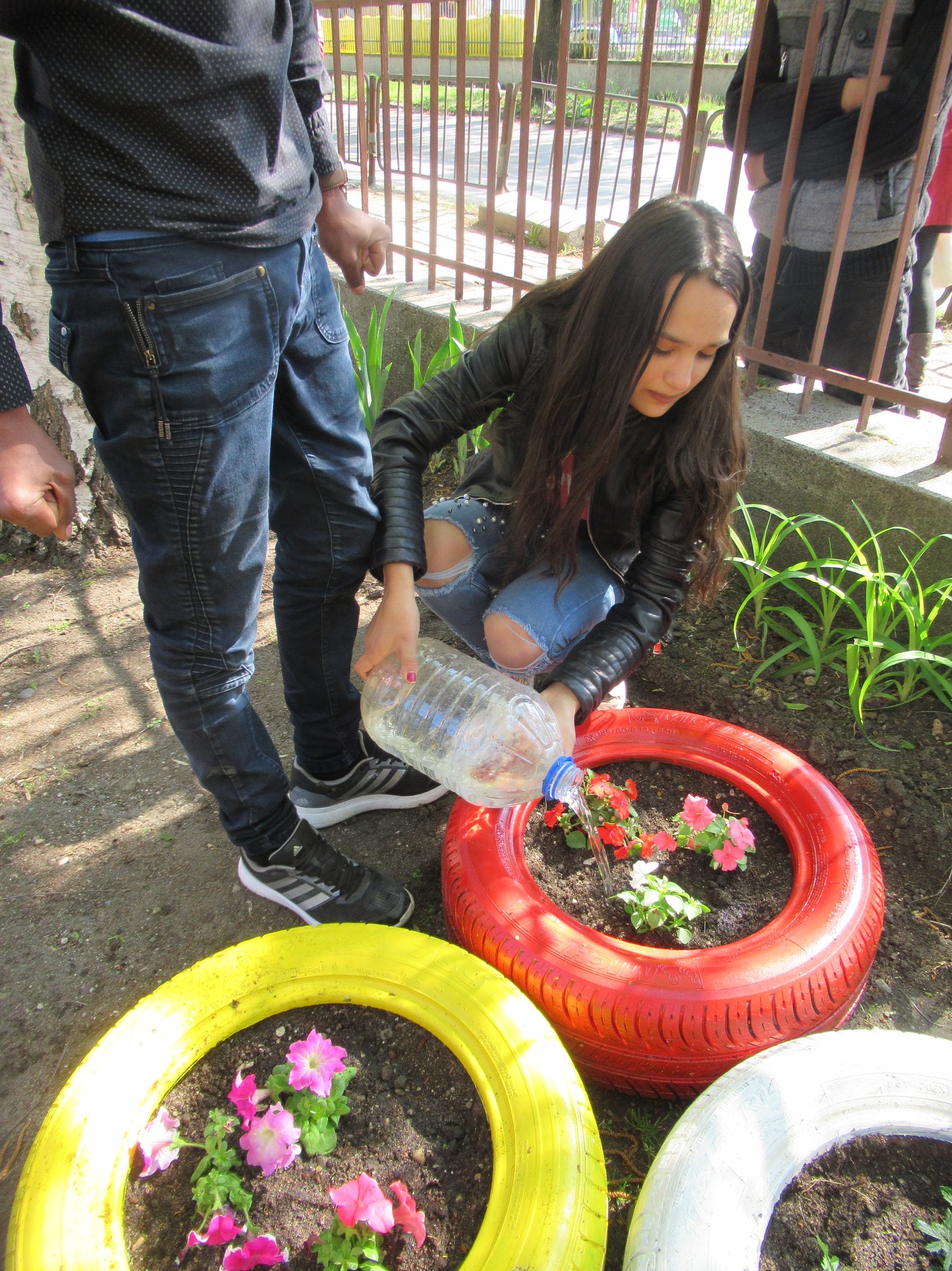 Изображение 11