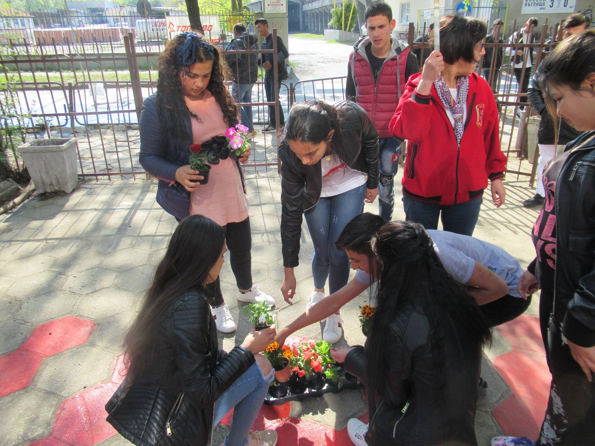 Изображение 12